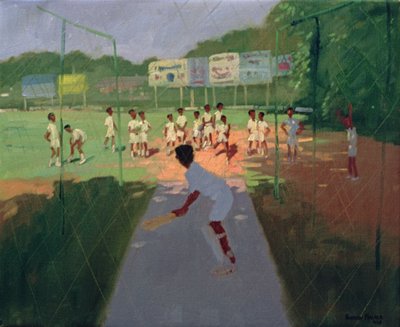 Cricket, Sri Lanka by Andrew Macara